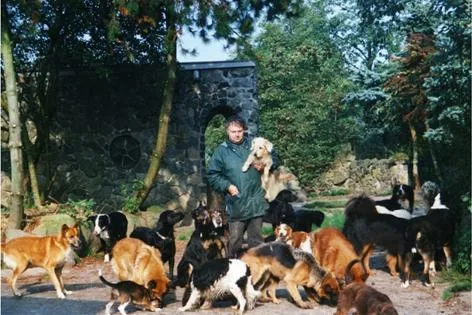 Vierbeiner mit einer ungewöhnlichen Geschichte: Die Schifamhunde aus dem Westerwald Bild: Vierbeiner mit einer ungewöhnlichen Geschichte: Die Schifamhunde aus dem Westerwald