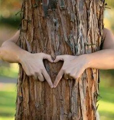 Ein nachhaltig gutes Gefühl – mit Holzfenstern Bild: Ein nachhaltig gutes Gefühl – mit Holzfenstern
