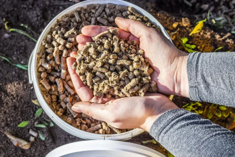 Bild: Depotdüngung mit Schafwoll-Pellets ist einfach in der Anwendung