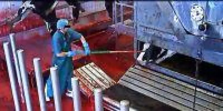 Bild: Schlachthof-Skandal in Oldenburg: Staatsanwaltschaft bestätigt Straftaten