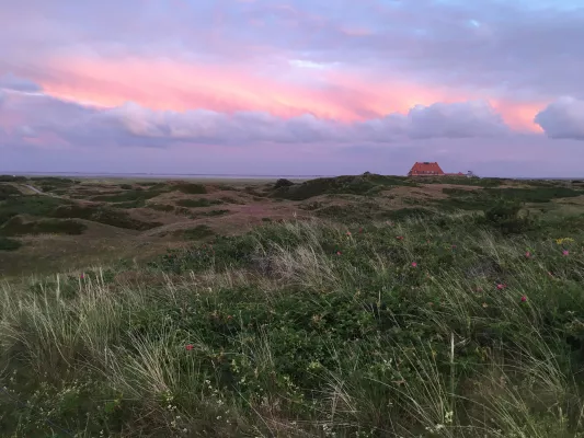 Bild: Biografisches Schreiben & Achtsamkeitsyoga auf Spiekeroog (14.-20.9.2024)