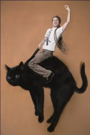 Bild: el mago masin - „darauf hat die Welt gewartet“ am 28. Juli 2011 um 20.00 Uhr im Theaterzelt „Das Schloss“