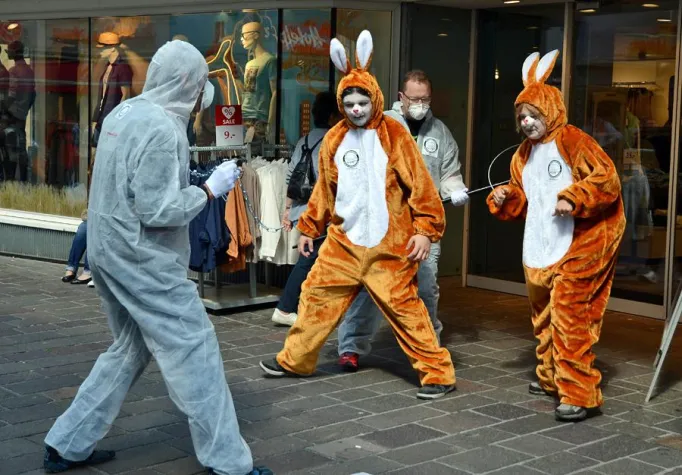 Bild: Tierschutzaktion: Hasen aus universitärem Versuchslabor entflohen