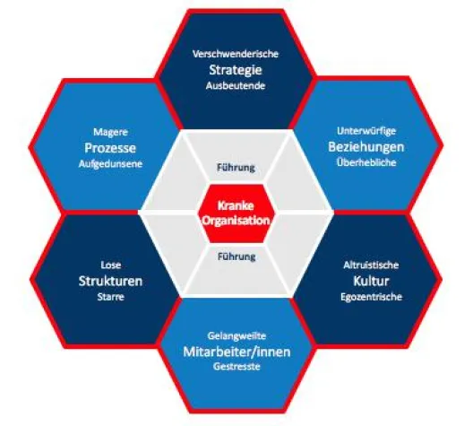 Bild: Die Kranke Organisation