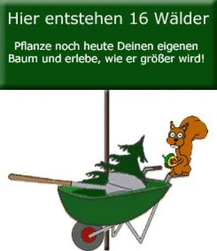 Positiver Start: Ein Baum für Dich Bild: Positiver Start: Ein Baum für Dich