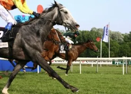 Saisonstart auf der Neuen Bult Bild: Saisonstart auf der Neuen Bult