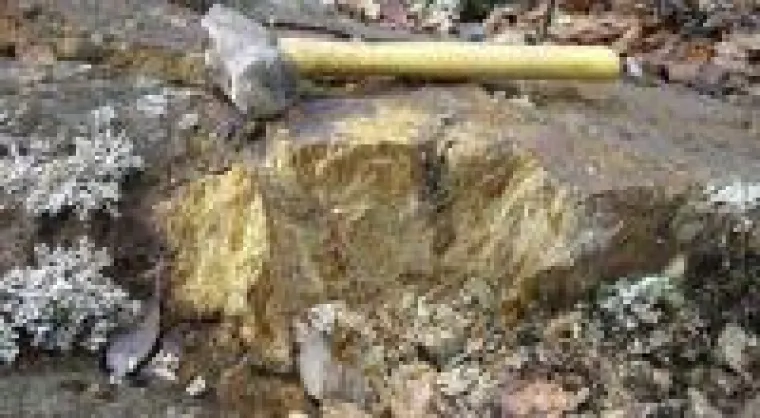 Bild: Länder mit dem meisten Gold