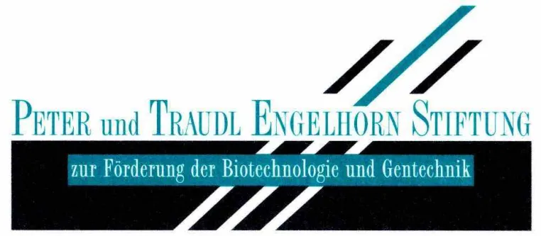 Bild: Forschungspreis: Peter und Traudl Engelhorn-Stiftung fördert Alexey Rak