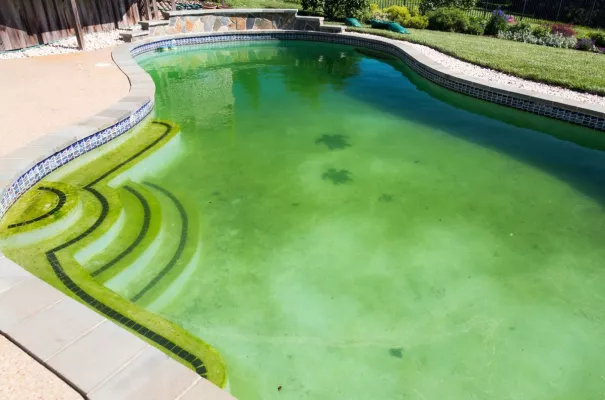 Bild: Schluss mit grünem Poolwasser und ekligem Urin-Gestank