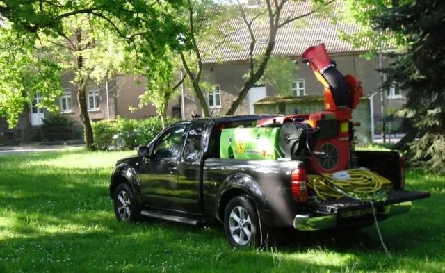 Bild: PRÄVENTIVE BAUMKRONENBEHANDLUNG ERWEIßT SICH ALS WIRKUNGSVOLLE METHODE DER EICHENPROZESSIONSSPINNER BEKÄMPFUNG
