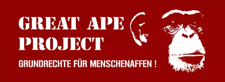 Alarmierende Todesfälle unter Affen im Zoo Bild: Alarmierende Todesfälle unter Affen im Zoo