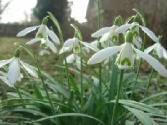 Bild: Schöne weisse Zähne – mit Prophylaxe Zahnpflege zum Küssen betreiben