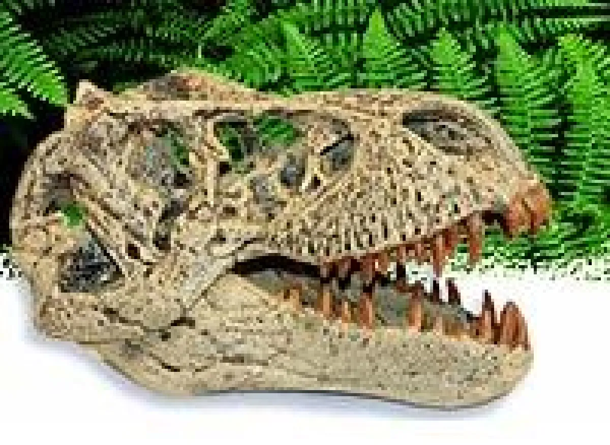 Dinosaurier-Spielzeug, Geo-Sets und Ausgrabungssets