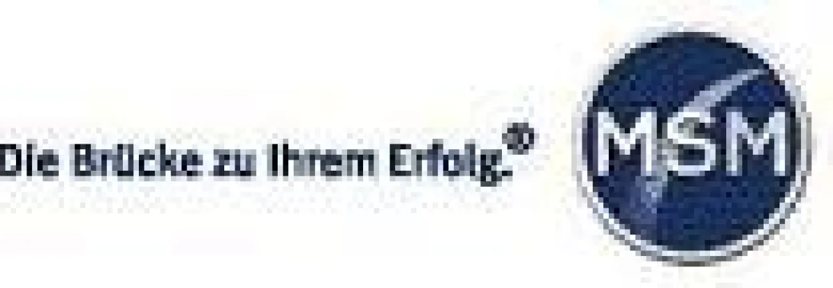 Logo der MSM Group