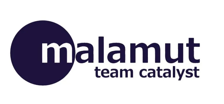 Bild: Malamut Team Catalyst startet Matchingplattform für Gründer