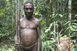 Survival und Indigene kritisieren "haarsträubende" Kannibalismus-Berichte Bild: Survival und Indigene kritisieren "haarsträubende" Kannibalismus-Berichte
