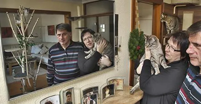 Bild: RedTherm-Infrarotheizung als Alternative zu Nachtspeicheröfen: Wohlige Wärme hoch über Essens Dächern