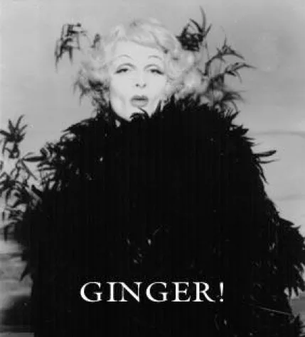 Bild: MARLENE DIETRICH WIEDER IM FLUGHAFEN TEMPELHOF