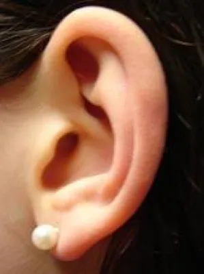 Bild: Komplettes Spektrum an Sprachtechnologie für alle Telefonieanwendungen