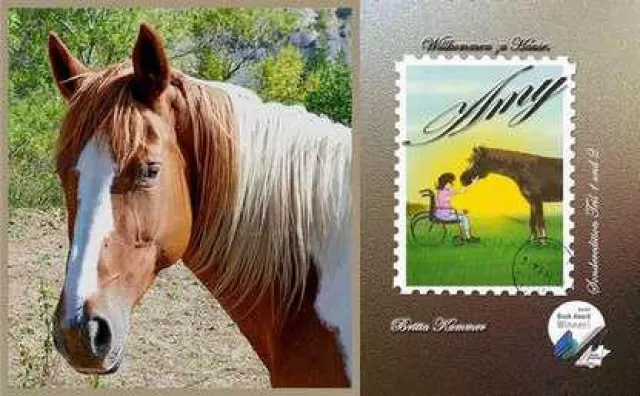 Buchvorstellung: Willkommen zu Hause, Amy Bild: Buchvorstellung: Willkommen zu Hause, Amy