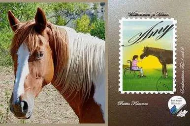 Bild: Buchvorstellung: Willkommen zu Hause, Amy