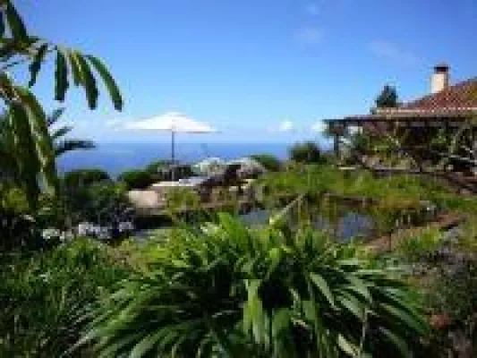 Meerblick Reisen im Mai: La Palma: Puntagorda Bild: Meerblick Reisen im Mai: La Palma: Puntagorda