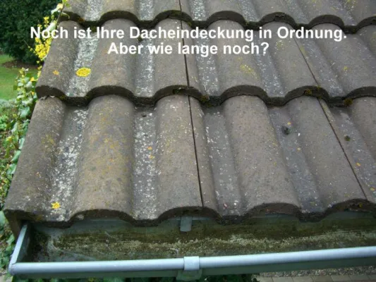 Bild: Dachbeschichtung – die günstige Alternative zur Neueindeckung.