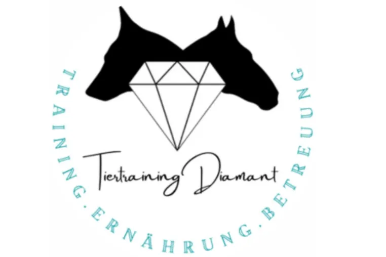 Bild: Adventsstimmung für Hund und Mensch bei Tiertraining Diamant in Salzburg