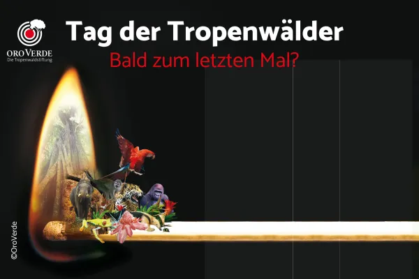 Bild: Der Tag der Tropenwälder - bald Geschichte?