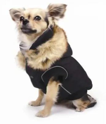 Bild: Frierender Hund im Winter? – Wärmende Hundemäntel und Hundepullis bei fashydogs.de