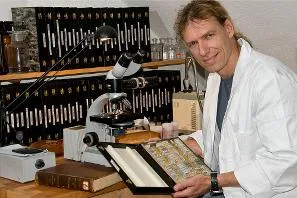 Bild: Auf den Spuren der Fransenflügler: Waldorflehrer entdeckte seltene Insektenart
