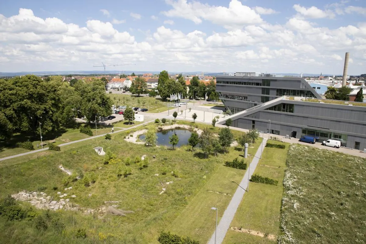 Ausgezeichnetes Freigelände in Ludwigsburg: Naturteich, Blumenwiese und Bäumen zur Förderung biologi