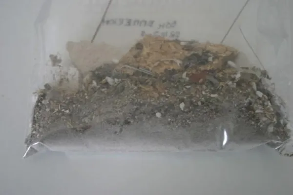 Bild: 3 Millionen Schimmelpilzsporen in einem Gramm Staub