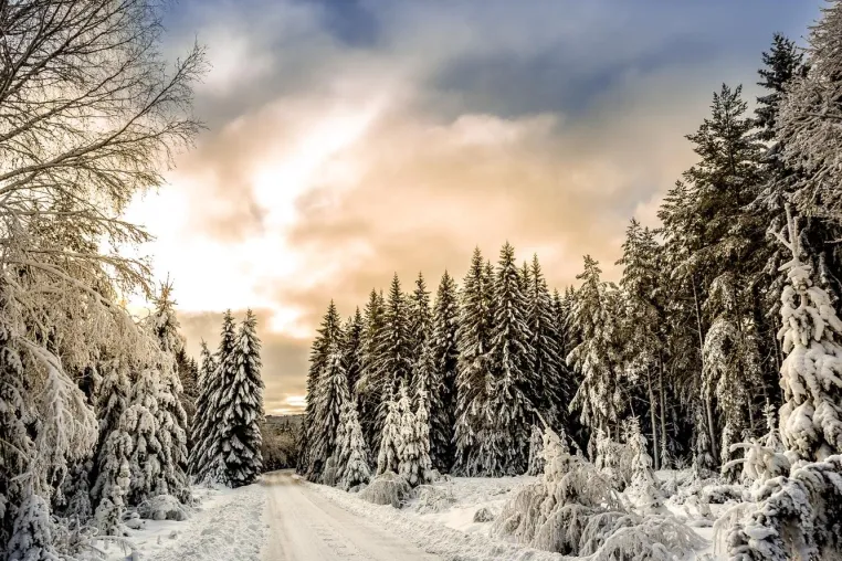 SMS-Versand: auch im Winter eine Lösung! Bild: SMS-Versand: auch im Winter eine Lösung!
