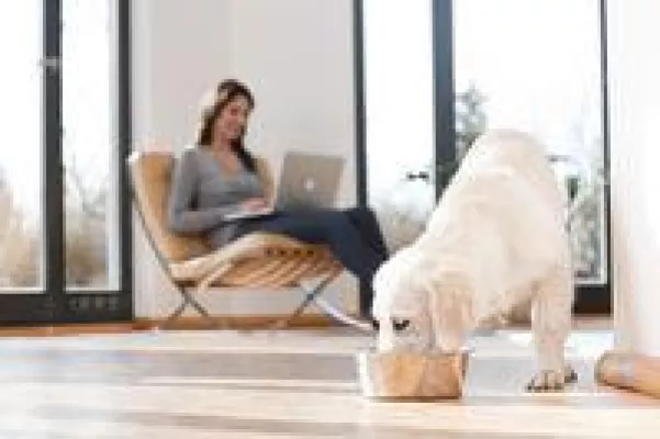 Bild: Das Beste vom Beutetier