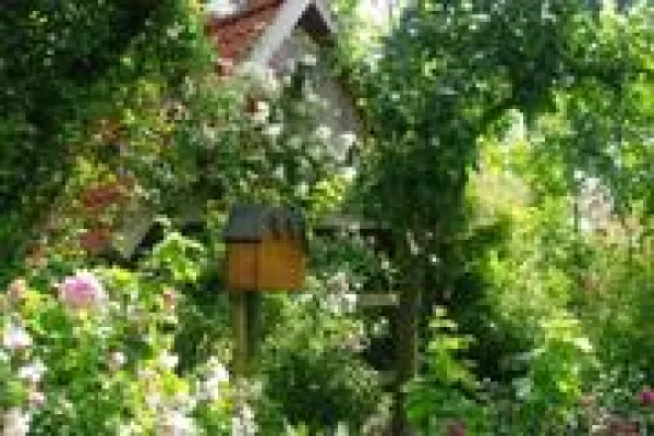 Bild: Offene Gärten im Weserbergland