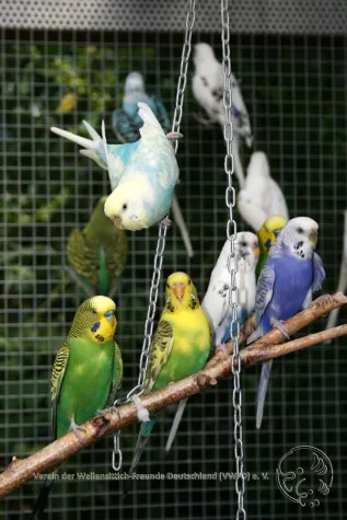 Bild: Kleines Leben – schnell verkorkst