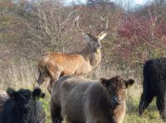 Einmalig in Deutschland: Naturgenussfestival Schleswig-Holstein Bild: Einmalig in Deutschland: Naturgenussfestival Schleswig-Holstein
