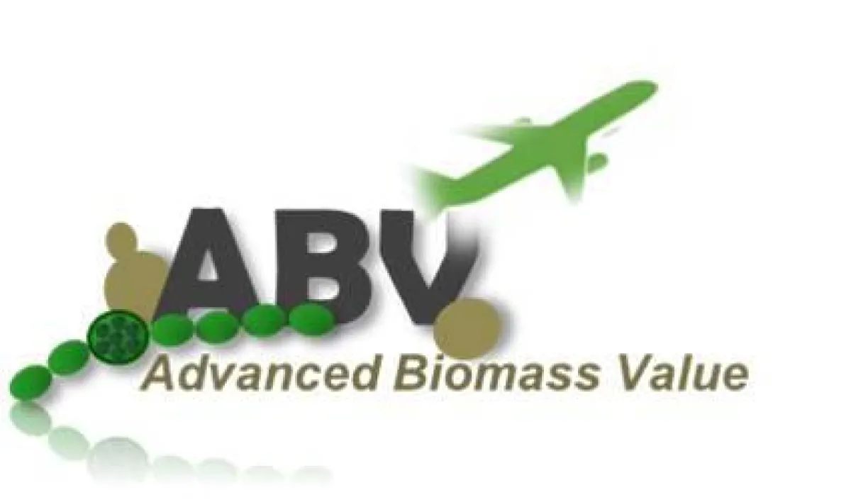 Logo: Advanced Biomass Value