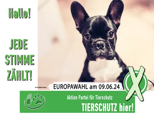 Bild: Tierschutz ist wählbar - Jede Stimme zählt