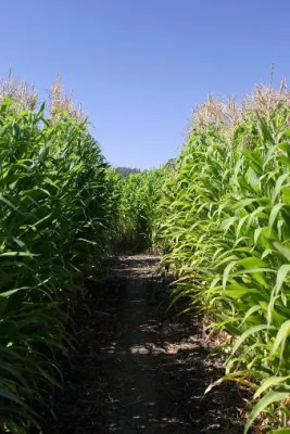 Bild: agaSAAT stellt seine neue Produktsparte agaFARM vor