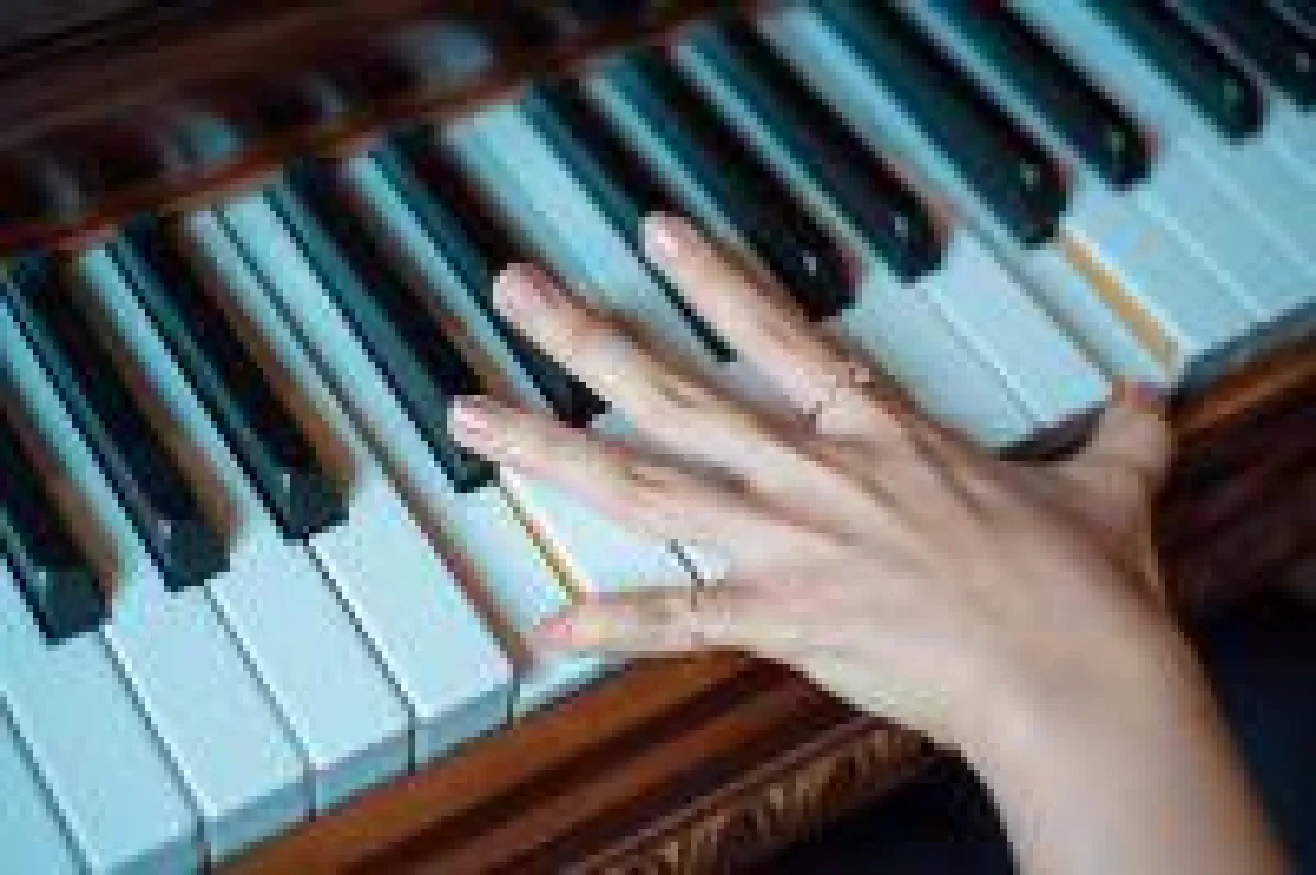 Wunderwerk Hand