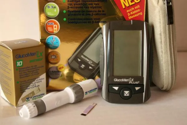 Bild: GlucoMen® LX Plus von Quidee zur frühzeitigen Diagnose subklinischer Ketose