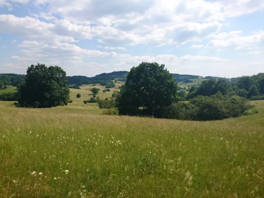 Bild: Schutzgebiete sind Orte der Verbundenheit