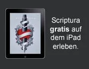 Bild: scriptura - Eintauchen in die faszinierende Welt des Schreibens