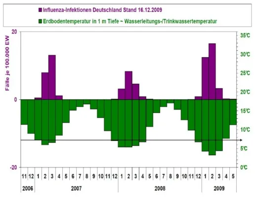 Bild: Saisonale Grippe 2010 startet jetzt - 5.000 - 30.000 Influenza-Tote je Winter sind gelogen