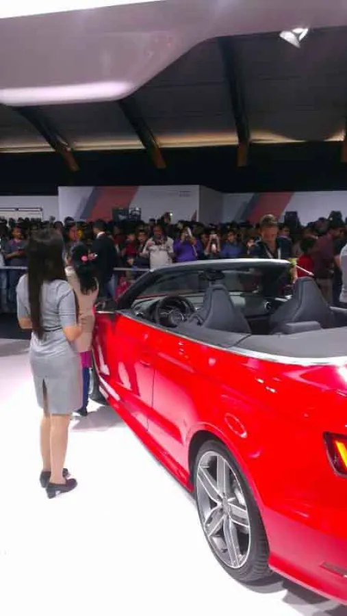 Pflegearbeiten bei der Auto Expo India (Foto: OLYMP)