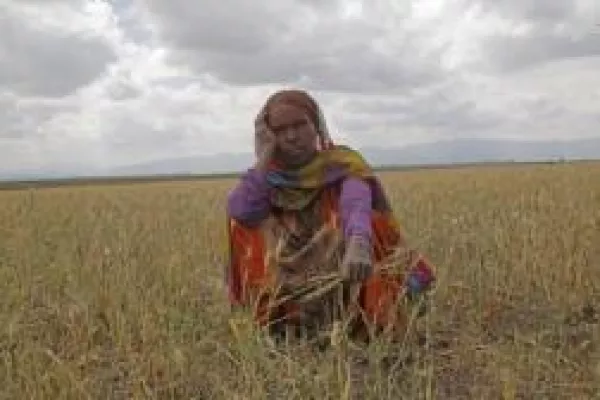 Bild: Über 10 Millionen Menschen in Äthiopien von Hunger bedroht