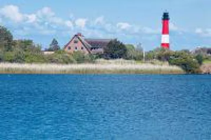 Bild: Auf Pellworm entschleunigen