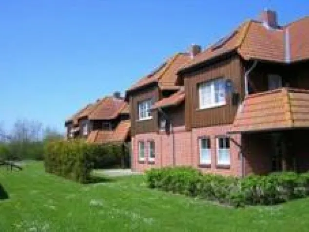 Bild: Sommer auf Fehmarn